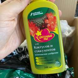Набор для кактусов в Москве фото 8