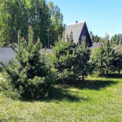 Зимняя дача на берегу живописного озера в Пскове фото 15