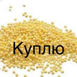 Просо