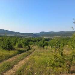 Участок коммерческого назначения 1 га