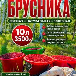 доставка+150
