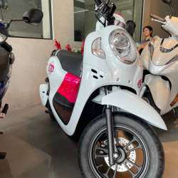 Honda Scoopy 110 см3 2023 года в аренду фото 3