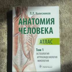 Атлас. Анатомия человека. Том 1