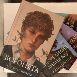 Воронята книга подарочное издание в Санкт-Петербурге фото 3