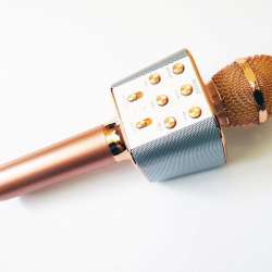 Микрофон Wster WS-1688 USB, microSD, AUX, Bluetooth, REC