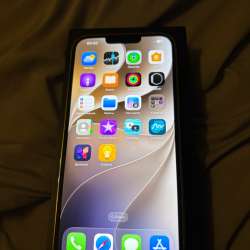 iPhone 13 Pro Max  256gb