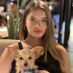 Вязка мальчик чихуахуа фото 8