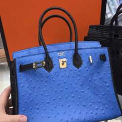 Сумка Hermes Birkin