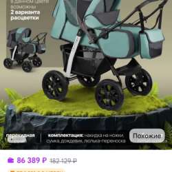 Коляска 2в1