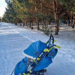Санки коляска «Ника детям 7-3/1 в Кемерове фото 3