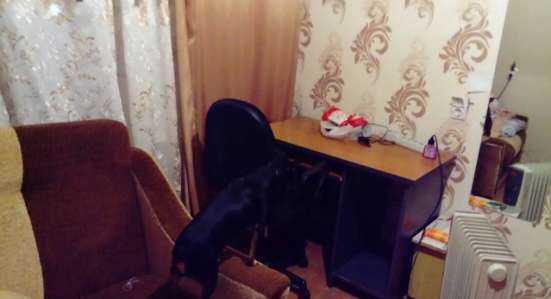 Сдам комнату