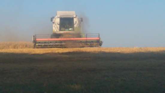 Продаю комбайн CLASS MEGA 360 в Краснодаре фото 3