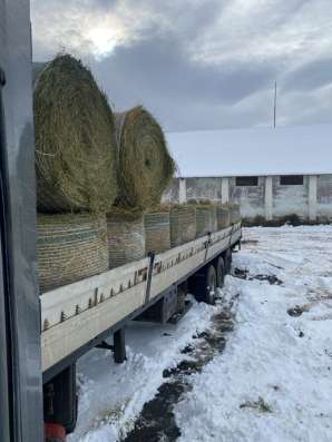 Сено разнотравье и люцерна