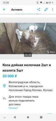 Козы