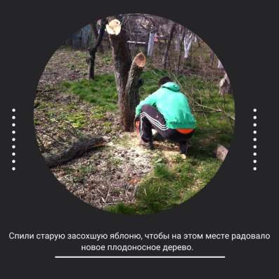Услуги разнорабочих в Хабаровске