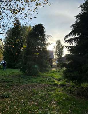 Земельный участок в Петрозаводске фото 5