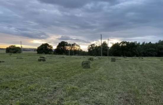 Сено в тюках