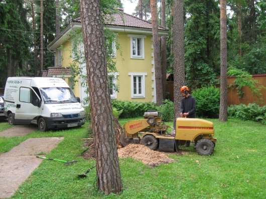 Аренда измельчителя веток, древесины в Раменское фото 5
