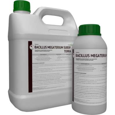 Биомасса Bacillus megaterium - жидкая форма