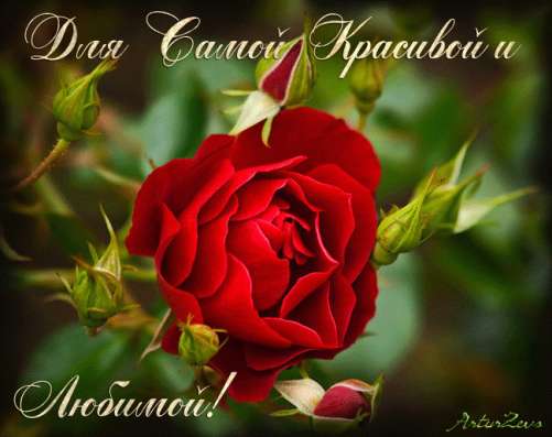 Муж на час фото 5