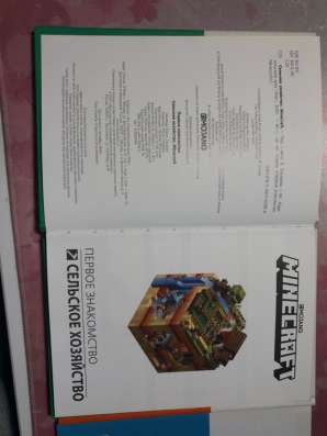 Книги maincraft в Санкт-Петербурге фото 5