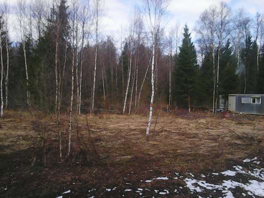Продаю земельный участок в Дубне фото 7