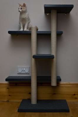 Когтеточка