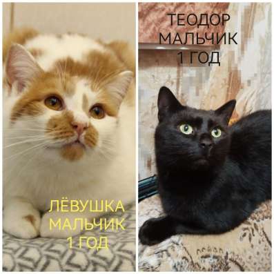 ПОЖАЛУЙСТА, НЕ ПРОХОДИТЕ МИМО!!! фото 8