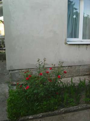 Продам дома в Симферополе фото 3