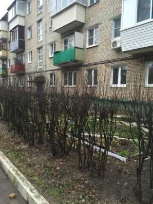 Продам двухкомнатную квартиру в Воскресенске. Жилая площадь 42 кв.м. Этаж 1. Дом кирпичный.