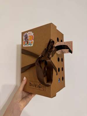 Кот Басик игрушка мягкая в коробке