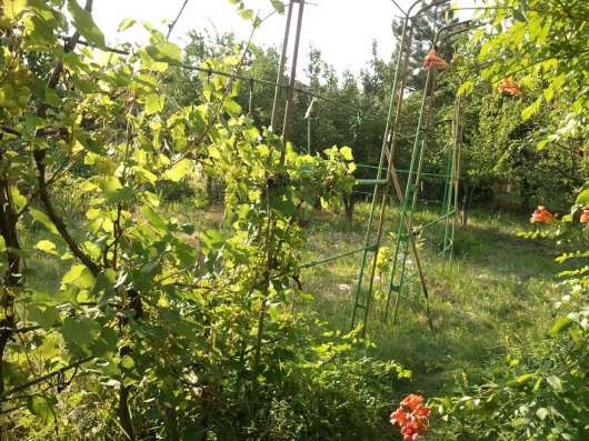 Срочно продам дачу, р-н Палиево
