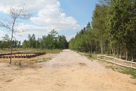 Продажа участка в Электроуглях фото 6