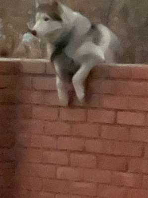 БЕСПЛАТНО!