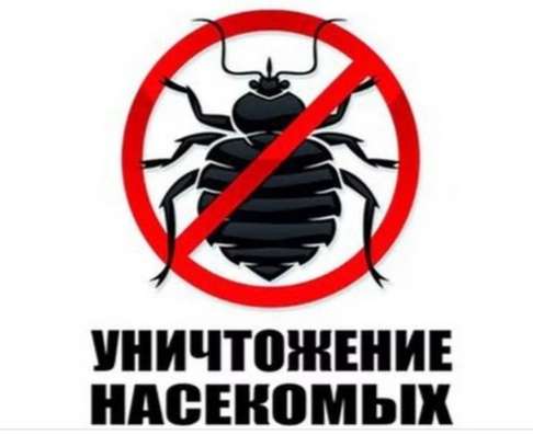 Уничтожение насекомых, быстро, качественно