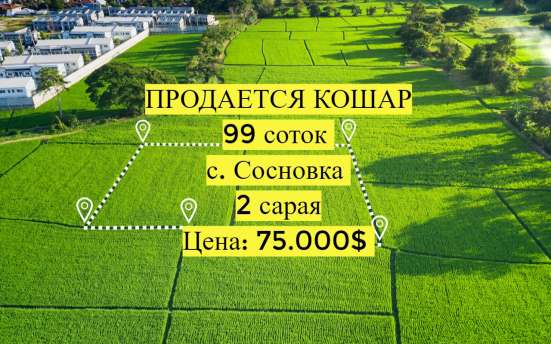 Продается Кошара — 2 сарая фото 12