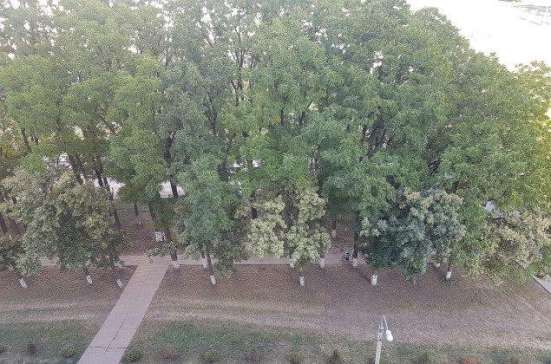 Продам однокомнатную квартиру в Краснодар.Жилая площадь 38,50  кв.м.Этаж 9. в Краснодаре фото 4