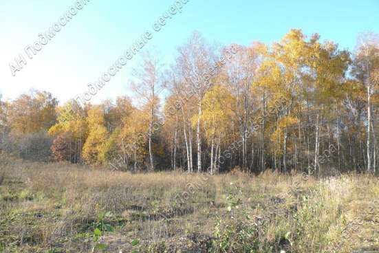 realty_mapper3.plot_in_locationИндивидуальное жилищное ст-во. Площадь 30.00 сот.Есть Газ. в Москве фото 8