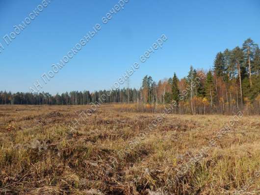 realty_mapper3.plot_in_locationСадовое некоммерческое тов-во. Площадь 10.00 сот.Есть Электричество. в Москве фото 6