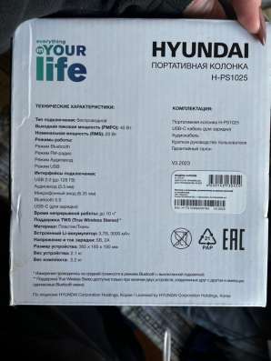 Колонка Hyundai в Пскове