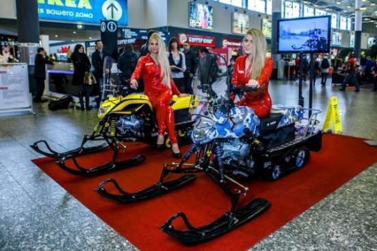Снегоход DINGO T125 в Нижнем Новгороде фото 3