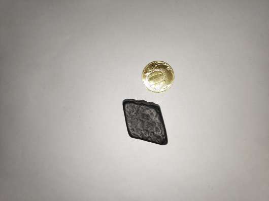 Martian Meteorite