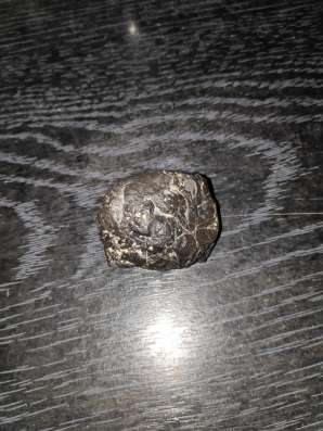 Martian Meteorite