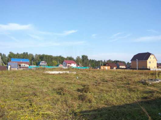 realty_mapper3.plot_in_locationСадовое некоммерческое тов-во. Площадь 13.00 сот.Есть Электричество. в Павловском Посаде фото 7