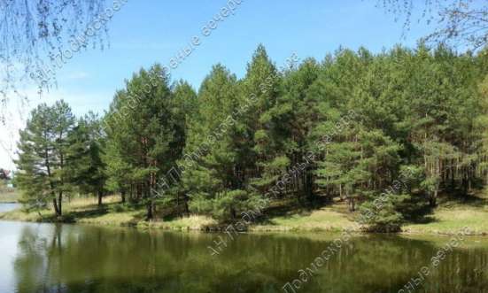 realty_mapper3.plot_in_locationСадовое некоммерческое тов-во. Площадь 36.70 сот.Есть Электричество. в Москве фото 3