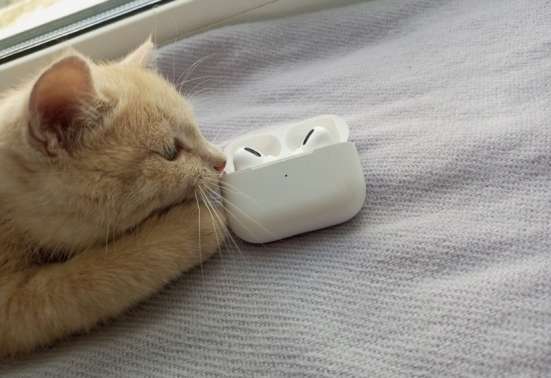 AirPods Pro в Обнинске фото 5