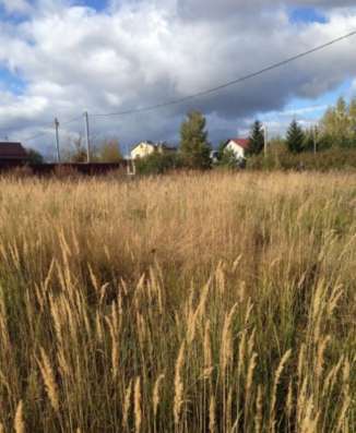 realty_mapper3.plot_in_locationИндивидуальное жилищное ст-во. Площадь 30.00 сот.Есть Электричество. в Павловском Посаде фото 3