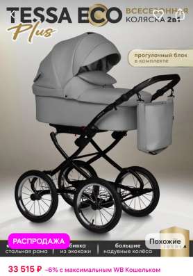 Коляска 2в1