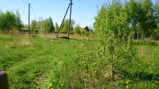 Продаю 4 сот. ЛПХ в д. Крюково в Чехове фото 4