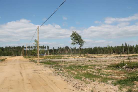 Продажа участка в Электроуглях фото 8
